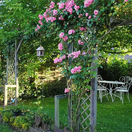 Bed & Breakfast Les De La Loge