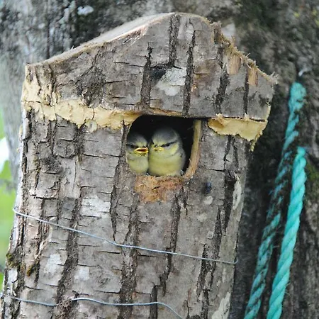 Bed & Breakfast Les De La Loge Montmorillon
