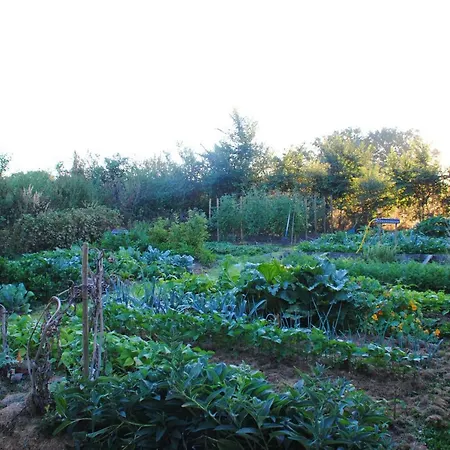 Les De La Loge منتوريلون